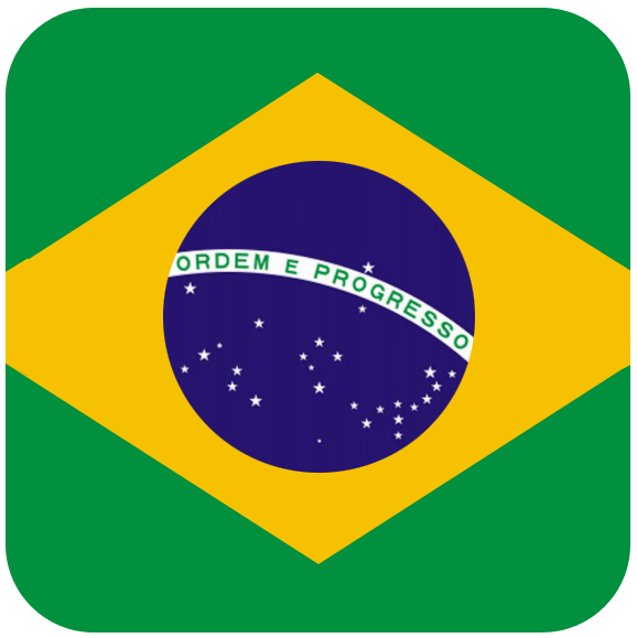 Flag português